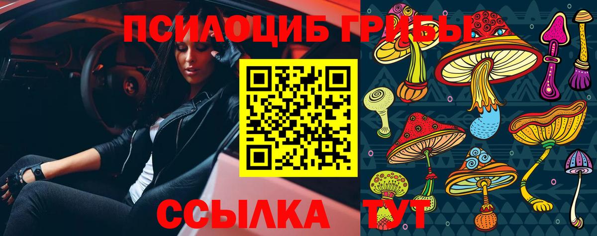 Галлюциногенные грибы ЛСД Гай
